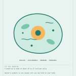 Cell Poster
