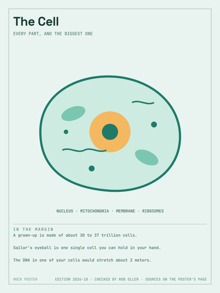 Cell Poster