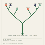 Tree Of Life Poster